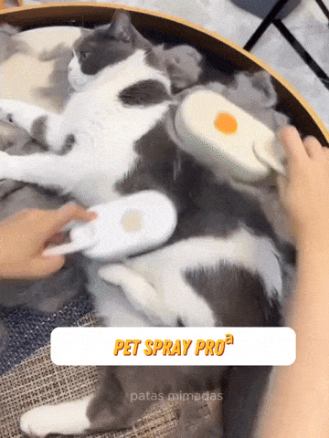 Escova Elétrica a Vapor 3 em 1 para Cães e Gatos